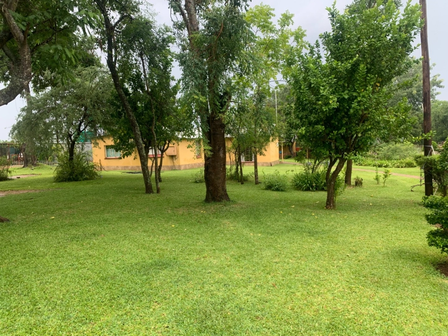 Commercial Property for Sale in Letsitele Limpopo