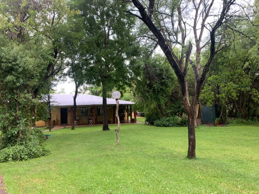 Commercial Property for Sale in Letsitele Limpopo