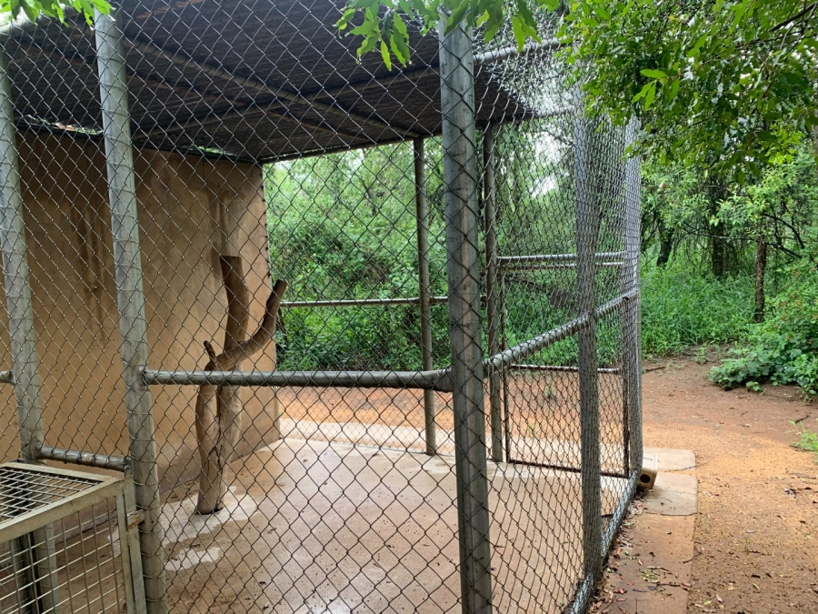 Commercial Property for Sale in Letsitele Limpopo