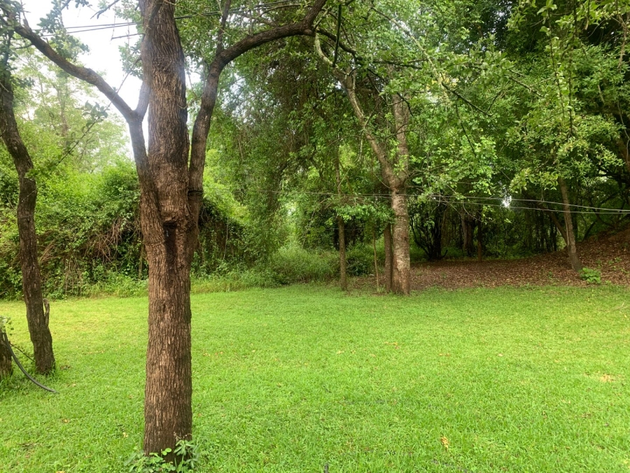 Commercial Property for Sale in Letsitele Limpopo