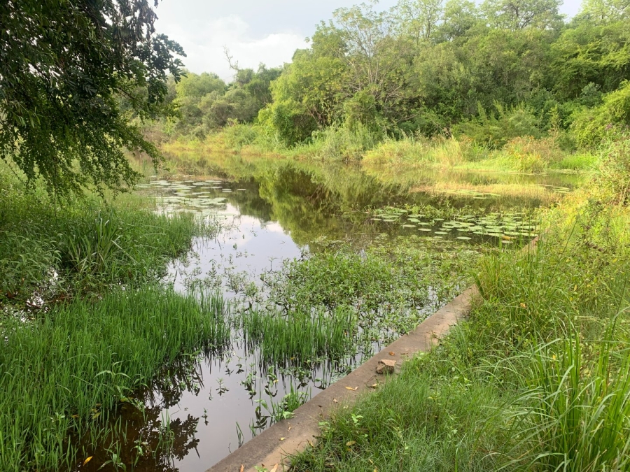 Commercial Property for Sale in Letsitele Limpopo