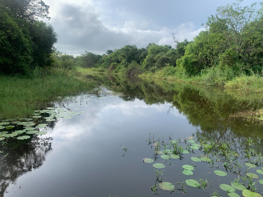 Commercial Property for Sale in Letsitele Limpopo