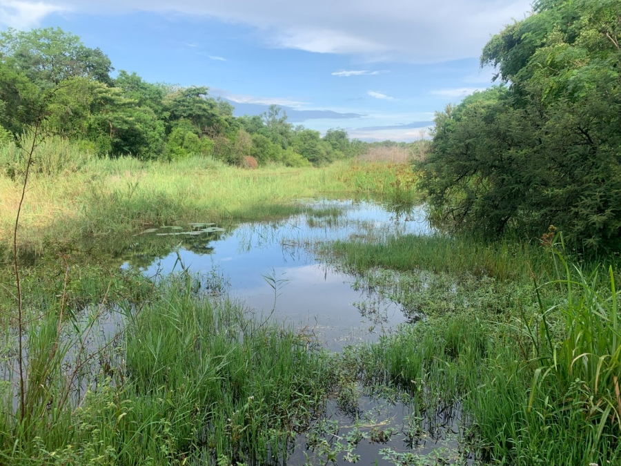 Commercial Property for Sale in Letsitele Limpopo