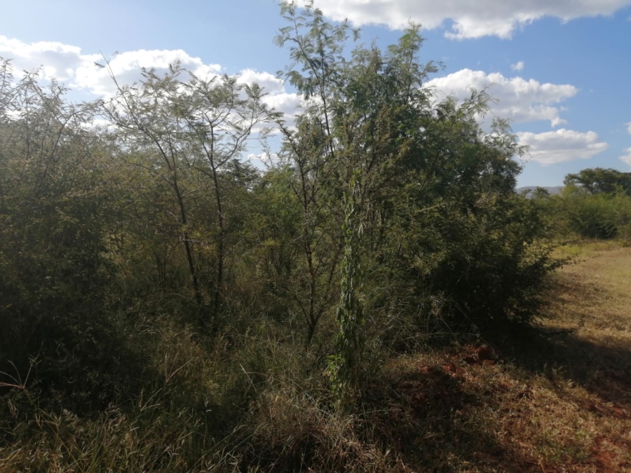 Commercial Property for Sale in Lebowakgomo Zone GA Limpopo