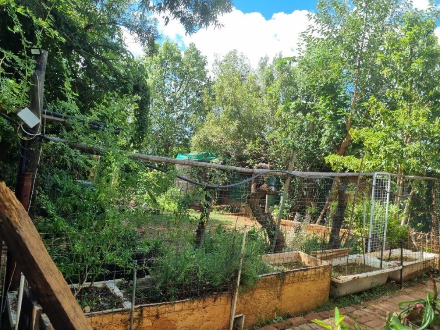 Commercial Property for Sale in Ivydale A H Limpopo