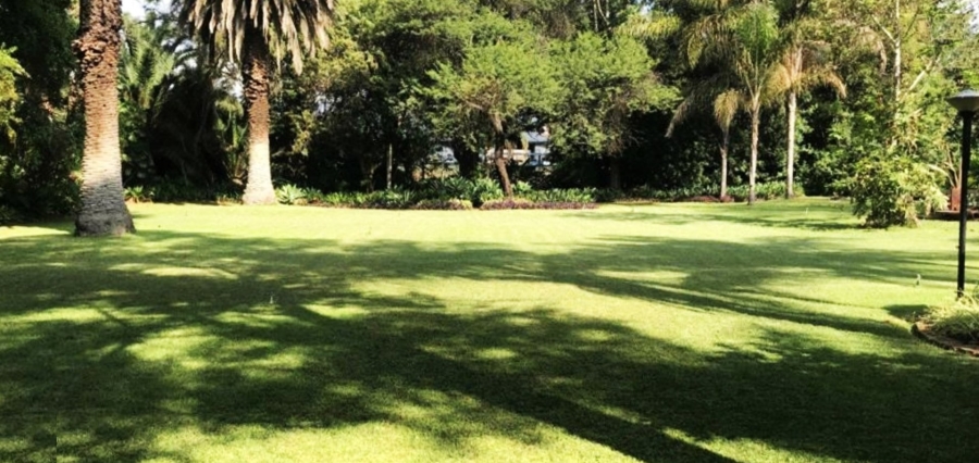 Commercial Property for Sale in Palmietfontein Limpopo