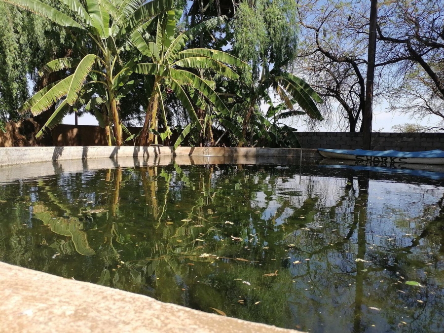 Commercial Property for Sale in Dalmada A H Limpopo