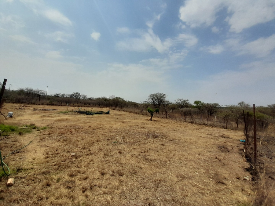 Commercial Property for Sale in Palmietfontein Limpopo