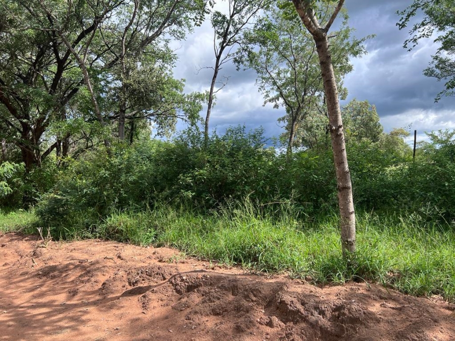 Commercial Property for Sale in Letsitele Limpopo