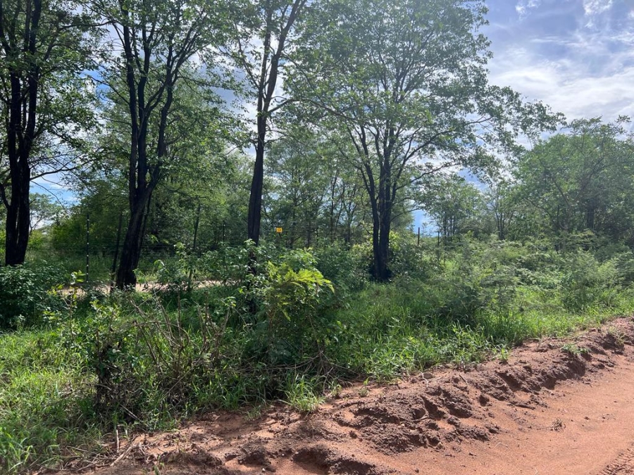 Commercial Property for Sale in Letsitele Limpopo