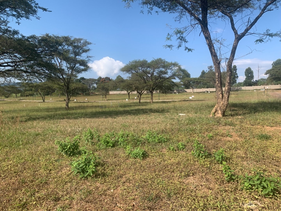 Commercial Property for Sale in Fauna Park Limpopo