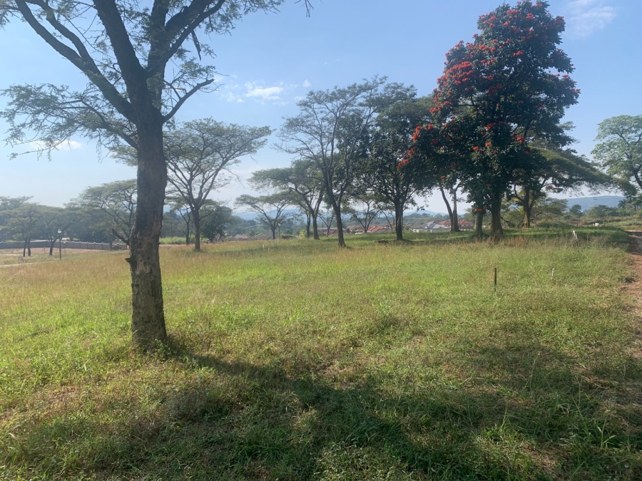 Commercial Property for Sale in Fauna Park Limpopo
