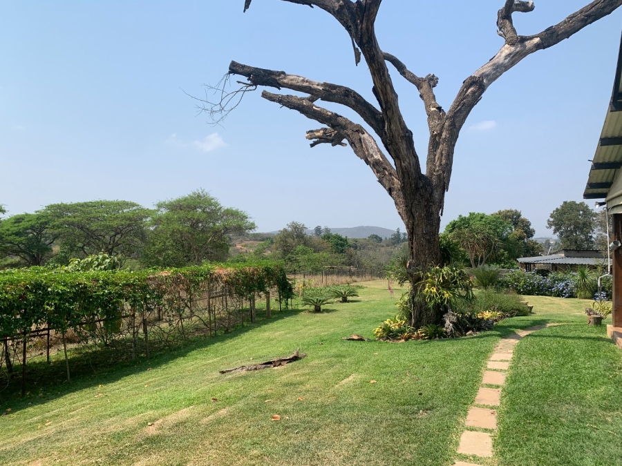 Commercial Property for Sale in Tzaneen Rural Limpopo