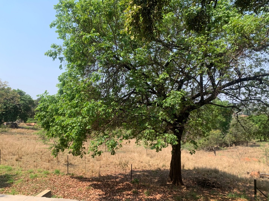 Commercial Property for Sale in Tzaneen Rural Limpopo