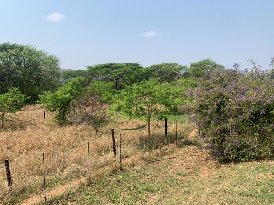 Commercial Property for Sale in Tzaneen Rural Limpopo