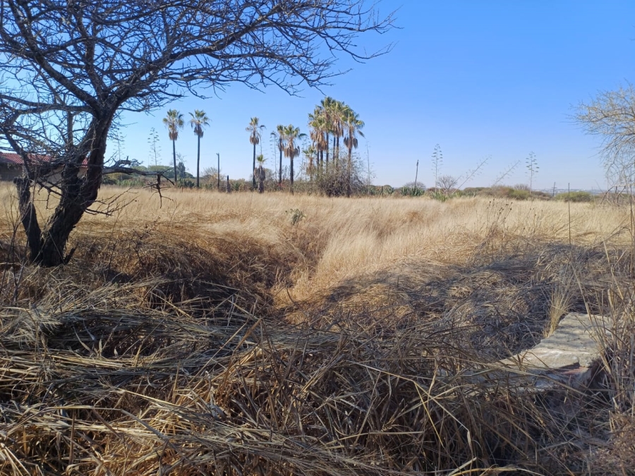 Commercial Property for Sale in Palm A H Limpopo