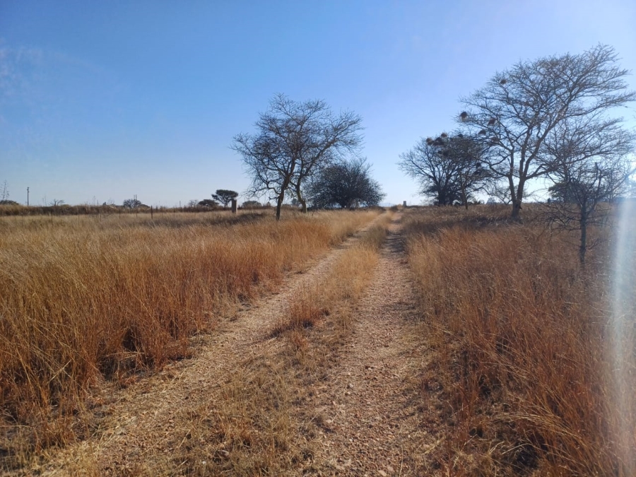 Commercial Property for Sale in Palm A H Limpopo