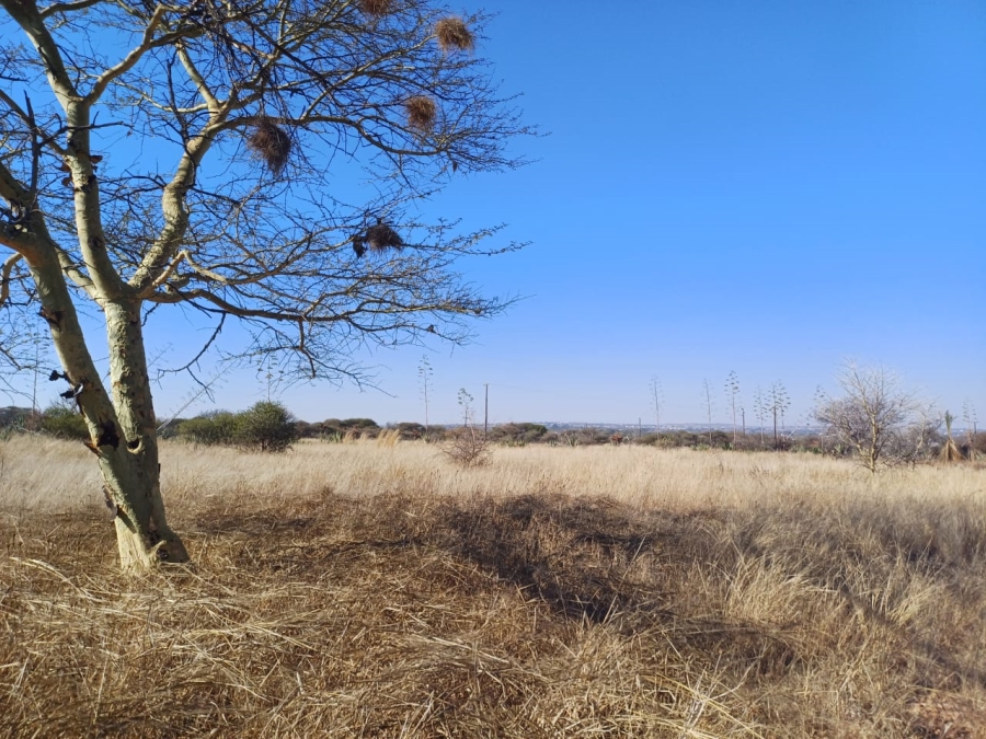 Commercial Property for Sale in Palm A H Limpopo