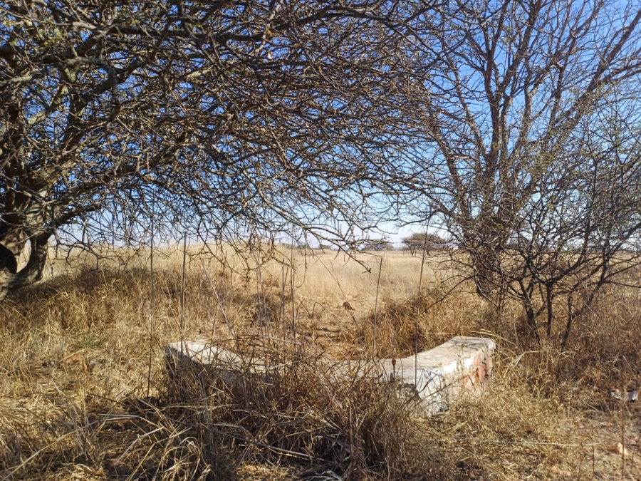 Commercial Property for Sale in Palm A H Limpopo