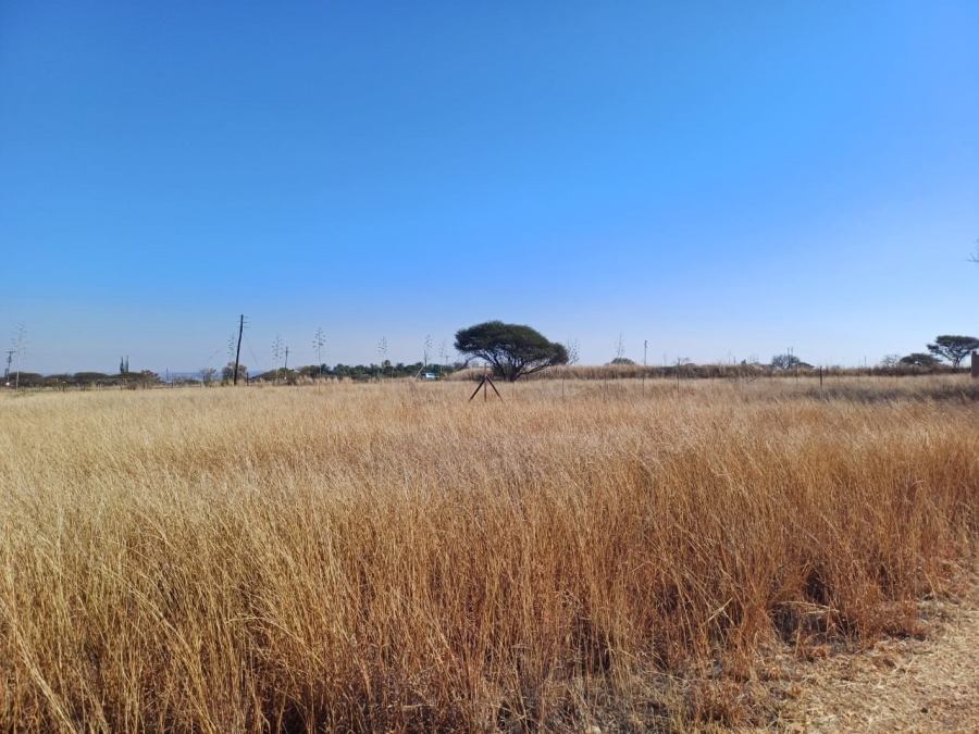 Commercial Property for Sale in Palm A H Limpopo