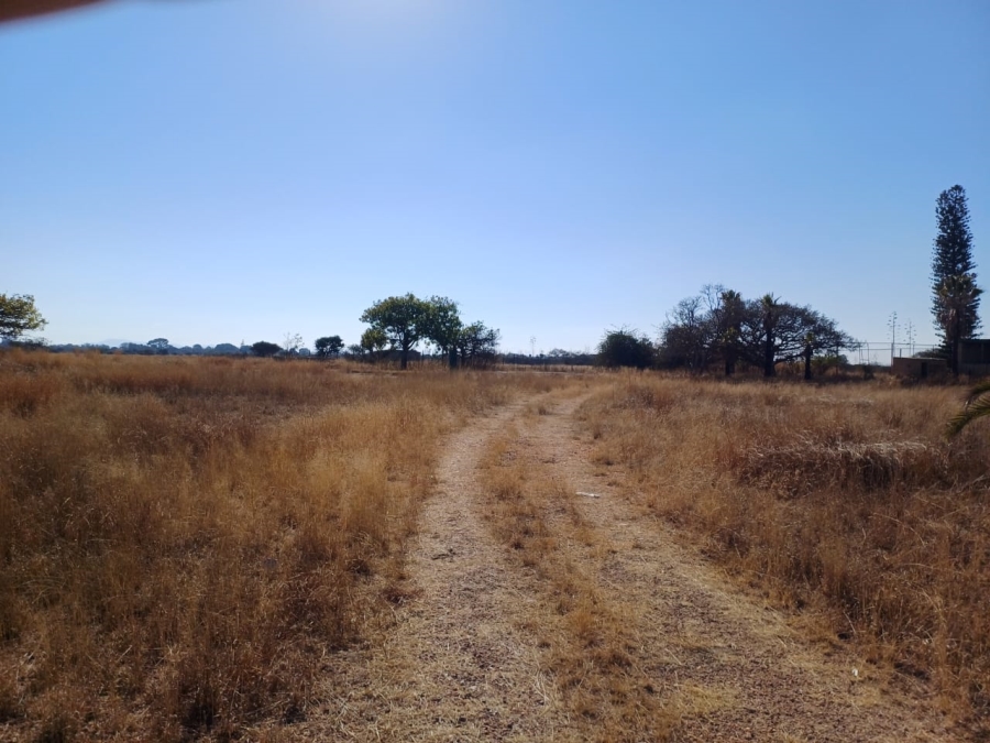 Commercial Property for Sale in Palm A H Limpopo