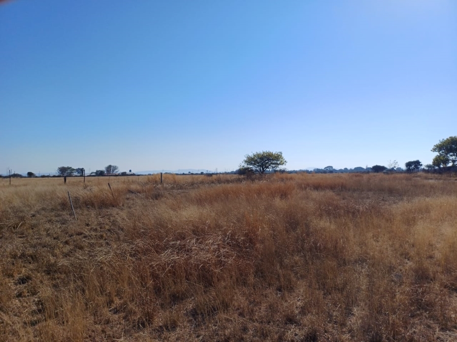 Commercial Property for Sale in Palm A H Limpopo
