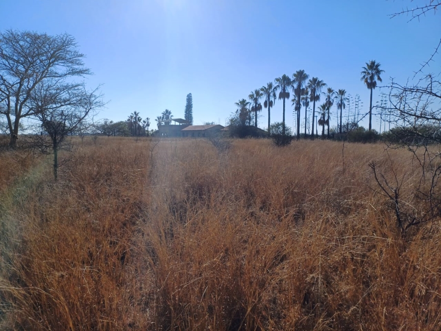 Commercial Property for Sale in Palm A H Limpopo