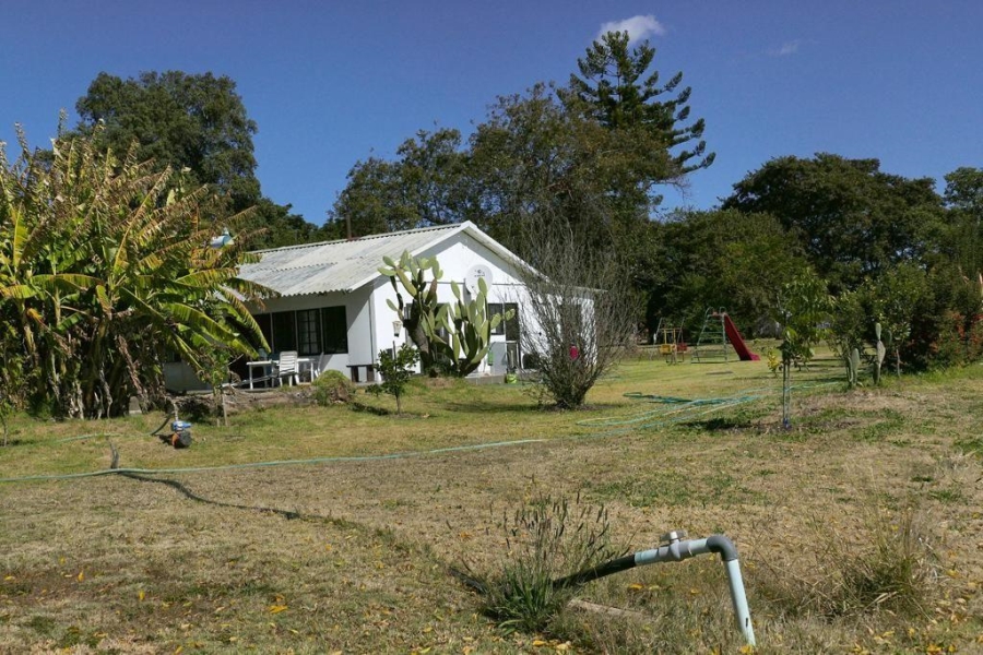 8 Bedroom Property for Sale in Palmietfontein Limpopo