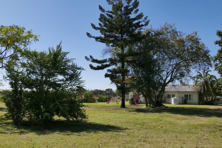 8 Bedroom Property for Sale in Palmietfontein Limpopo