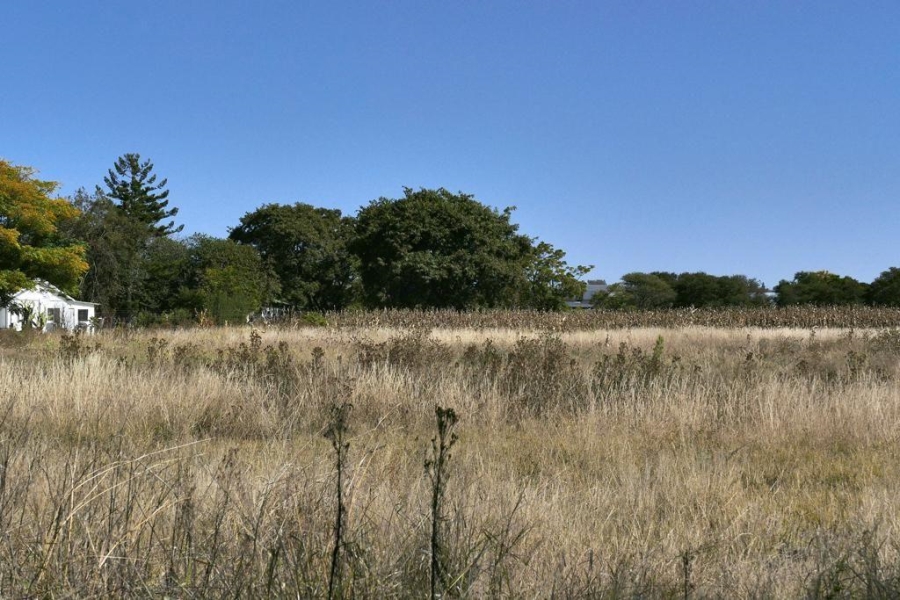 8 Bedroom Property for Sale in Palmietfontein Limpopo