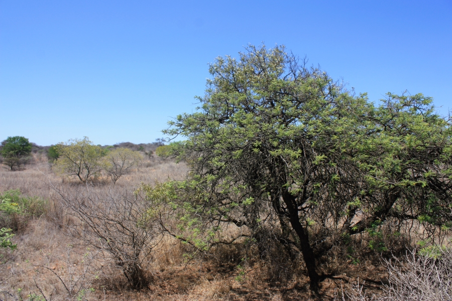 Commercial Property for Sale in Kalkfontein A H Limpopo