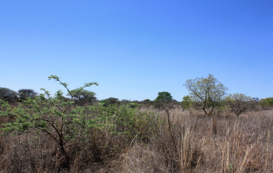 Commercial Property for Sale in Kalkfontein A H Limpopo