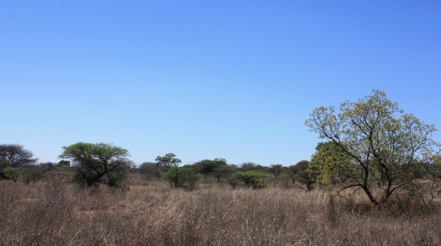 Commercial Property for Sale in Kalkfontein A H Limpopo