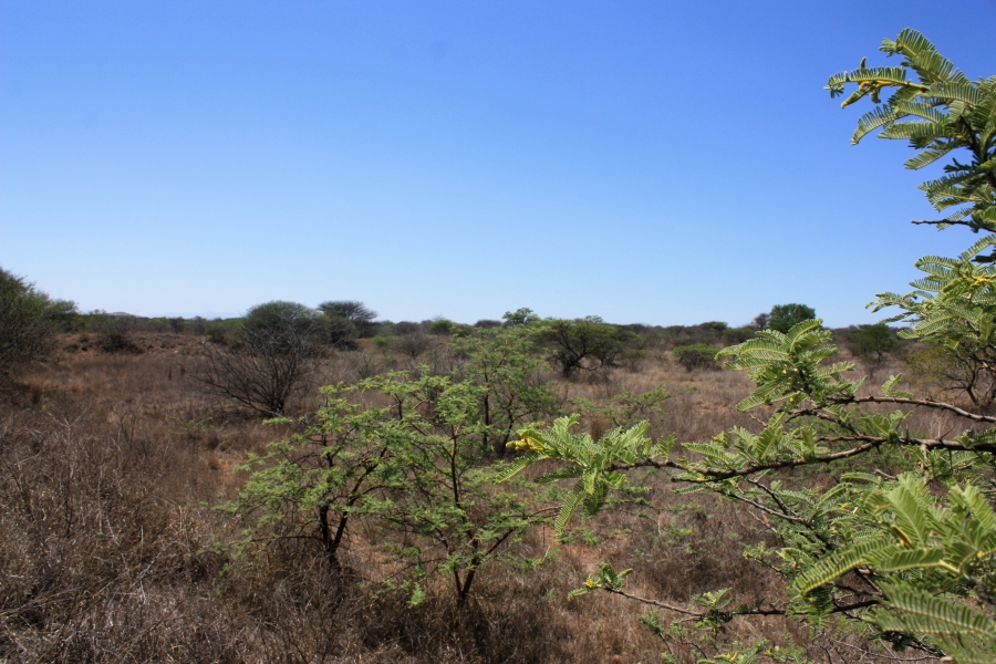 Commercial Property for Sale in Kalkfontein A H Limpopo