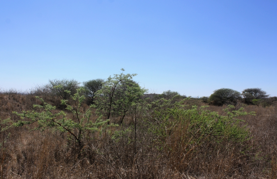 Commercial Property for Sale in Kalkfontein A H Limpopo