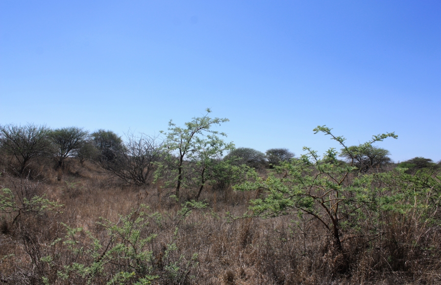 Commercial Property for Sale in Kalkfontein A H Limpopo