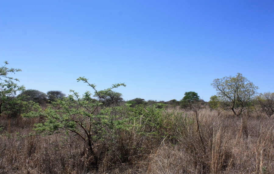 Commercial Property for Sale in Kalkfontein A H Limpopo