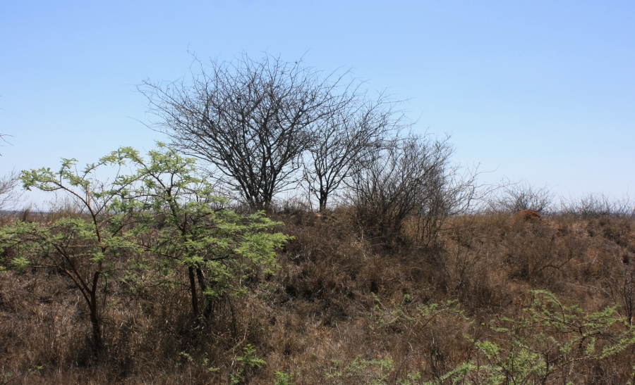 Commercial Property for Sale in Kalkfontein A H Limpopo