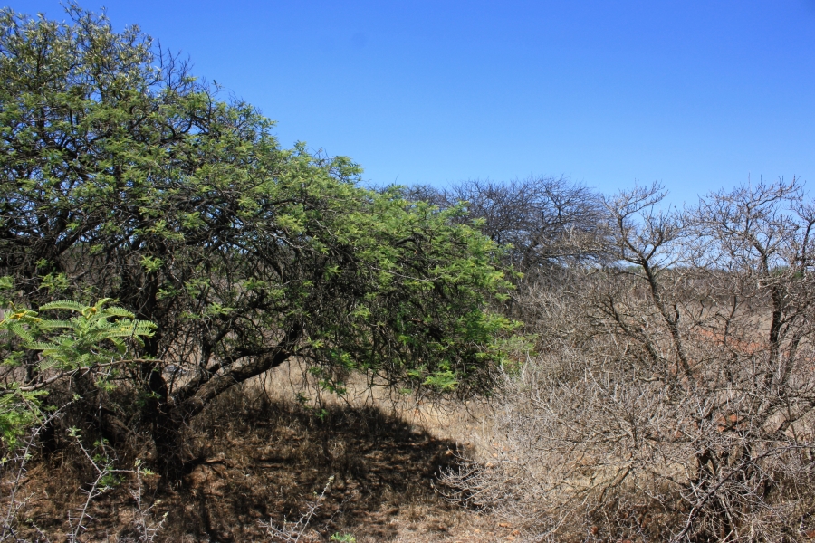 Commercial Property for Sale in Kalkfontein A H Limpopo