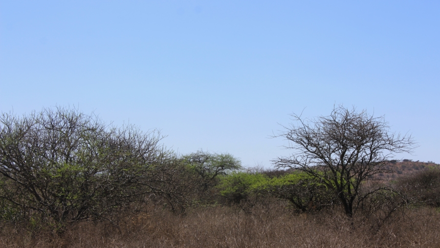 Commercial Property for Sale in Kalkfontein A H Limpopo