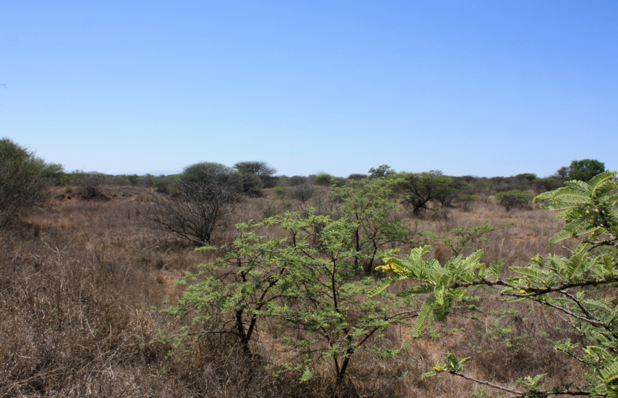 Commercial Property for Sale in Kalkfontein A H Limpopo