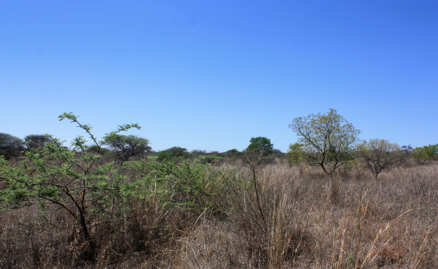 Commercial Property for Sale in Kalkfontein A H Limpopo