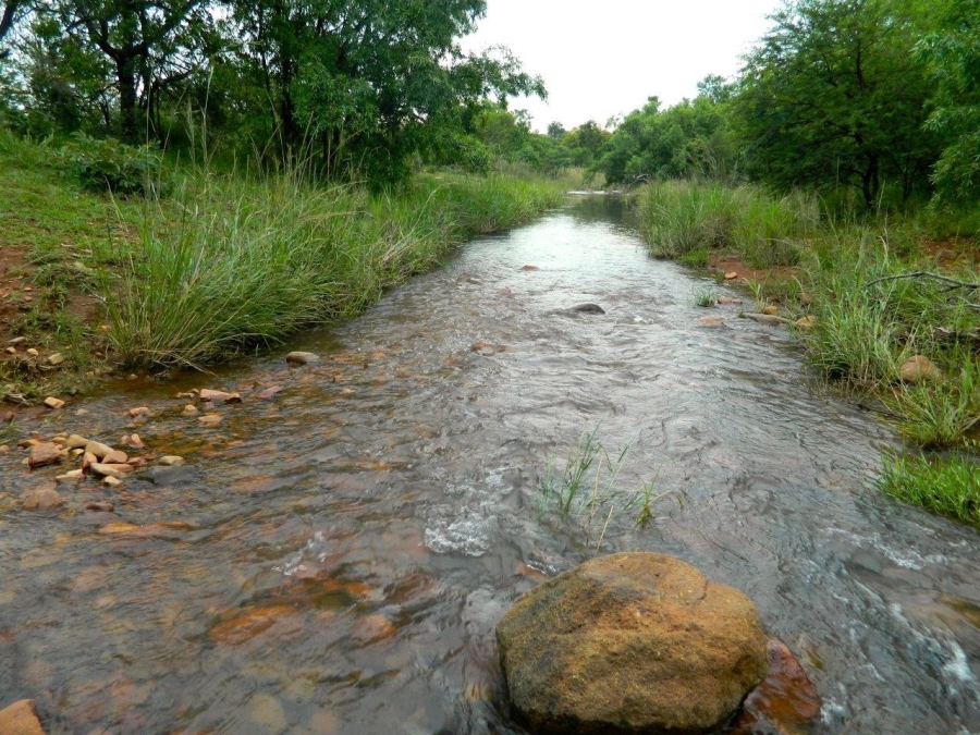 5 Bedroom Property for Sale in Modimolle Limpopo