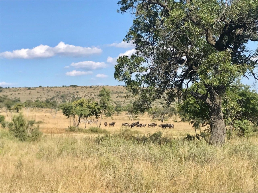 5 Bedroom Property for Sale in Modimolle Limpopo