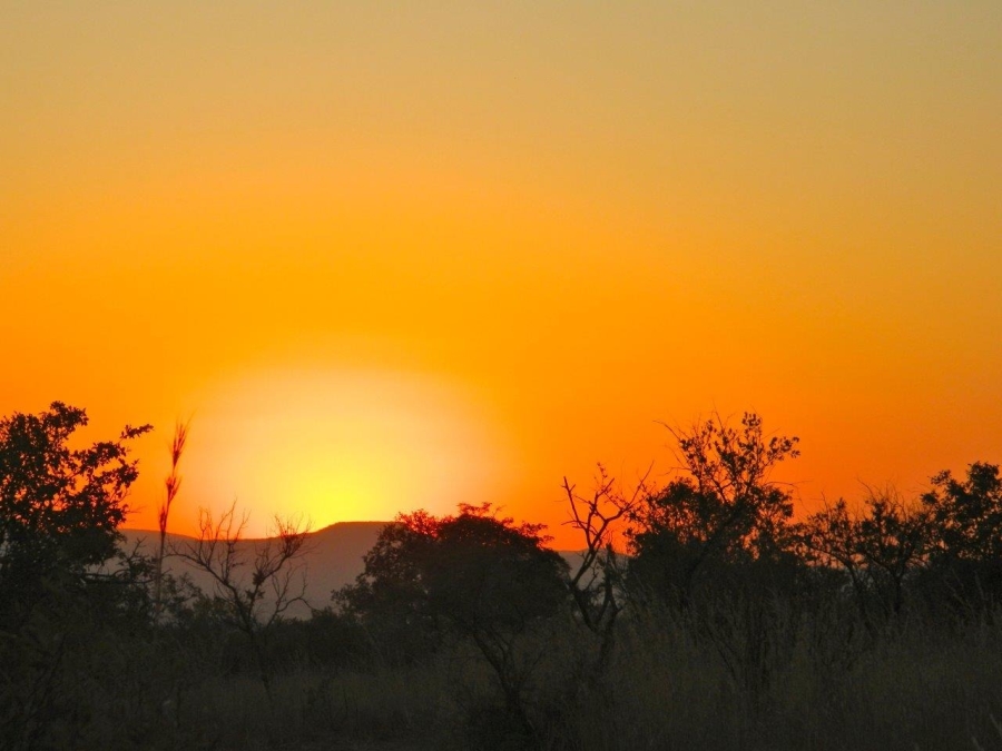 5 Bedroom Property for Sale in Modimolle Limpopo