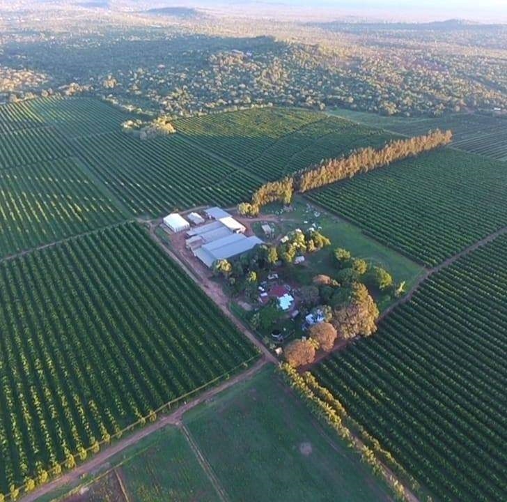 0 Bedroom Property for Sale in Louis Trichardt Limpopo