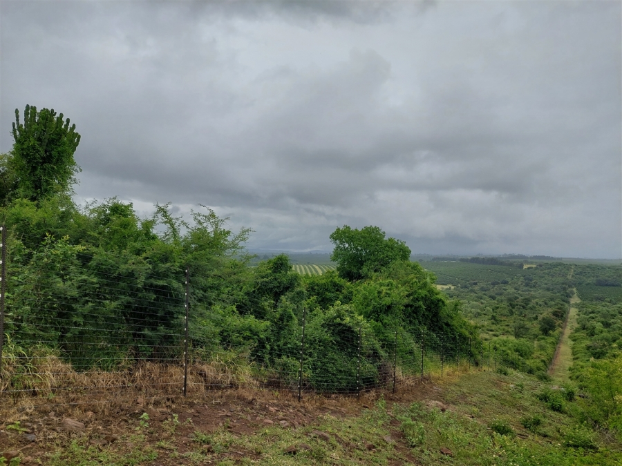 0 Bedroom Property for Sale in Louis Trichardt Limpopo