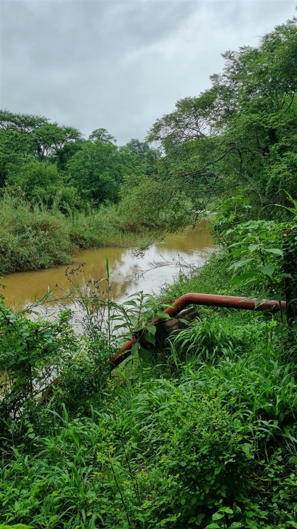 0 Bedroom Property for Sale in Louis Trichardt Limpopo