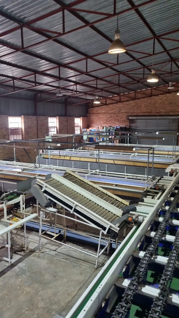 0 Bedroom Property for Sale in Louis Trichardt Limpopo