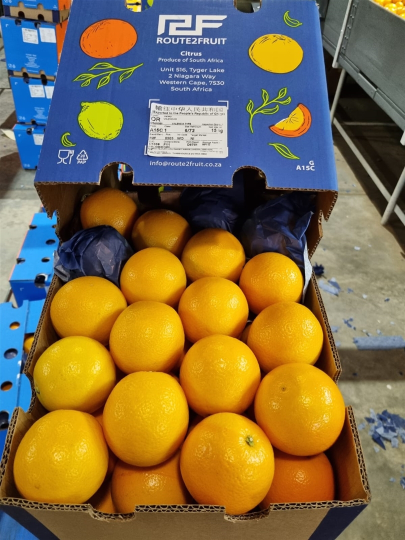 0 Bedroom Property for Sale in Louis Trichardt Limpopo